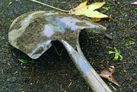 Fall Garden Cleanup Checklist